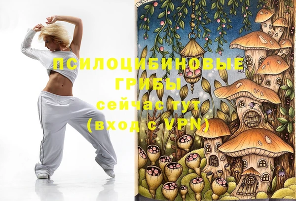 стафф Белоозёрский