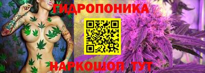 крисы Балашиха