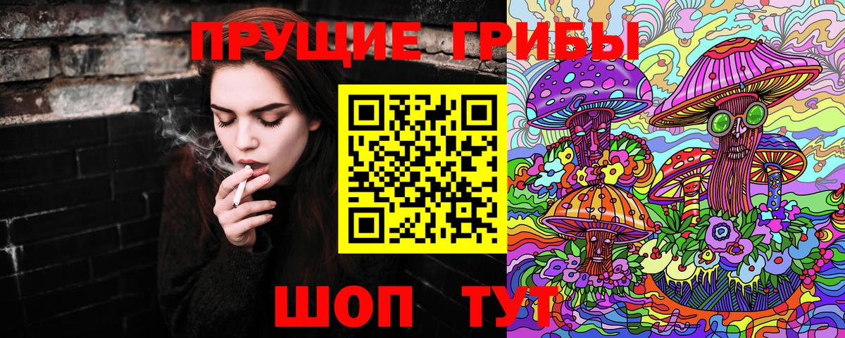 Псилоцибиновые грибы Psilocybine cubensis Гулькевичи